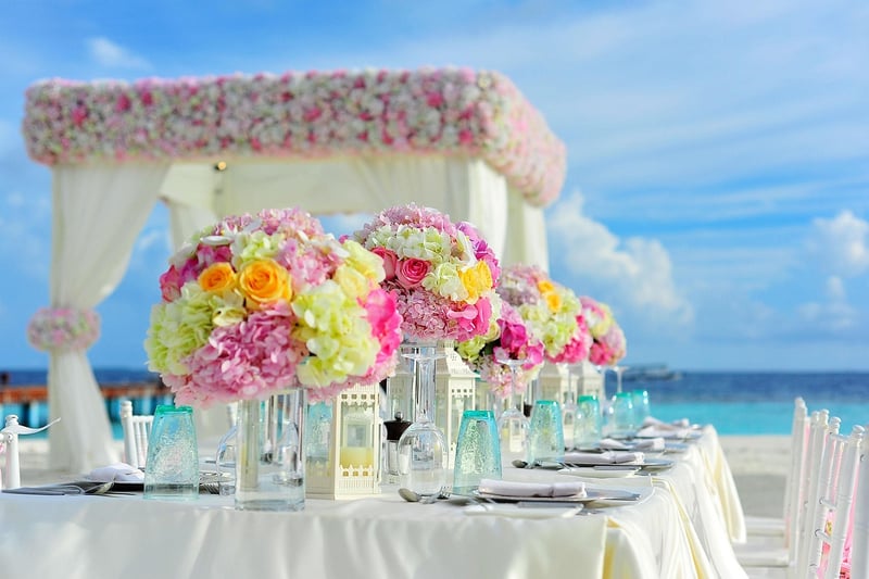 Fantasy Forest Receptions